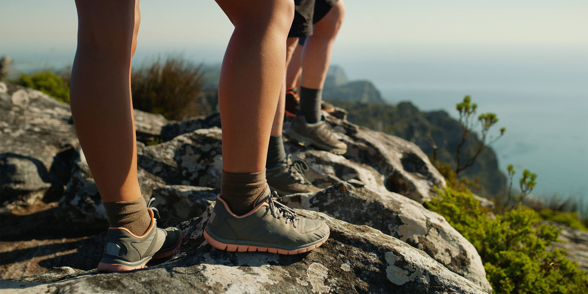 NO ALT TEXT REQUIRED - purely decorative