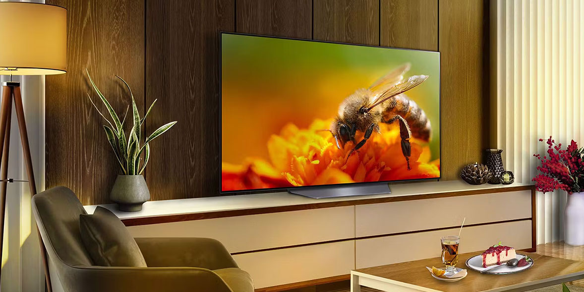 A large TV displays a close-up of a bee on a marigold flower, set in a cozy living room with modern decor.